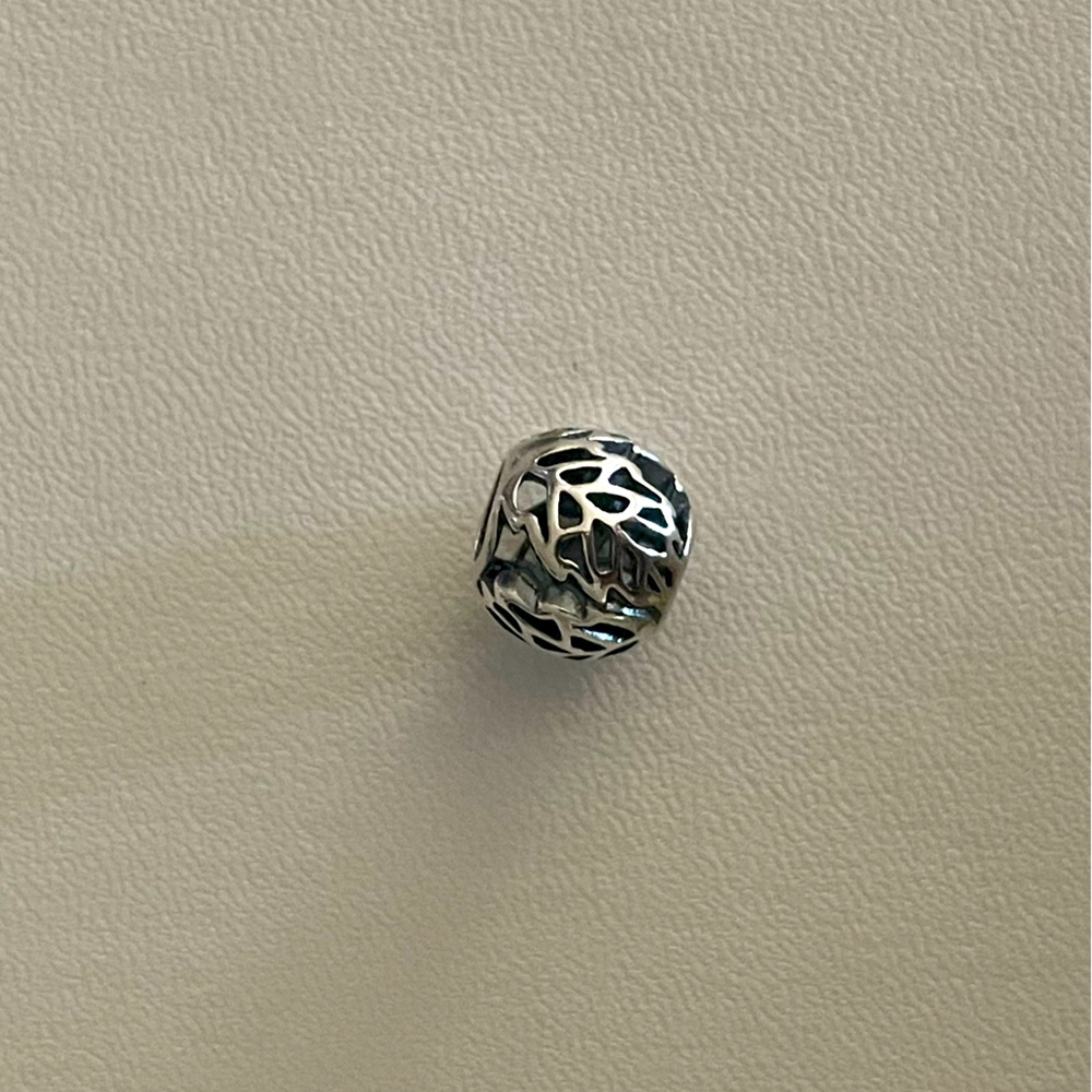 Feather Pandora Charm